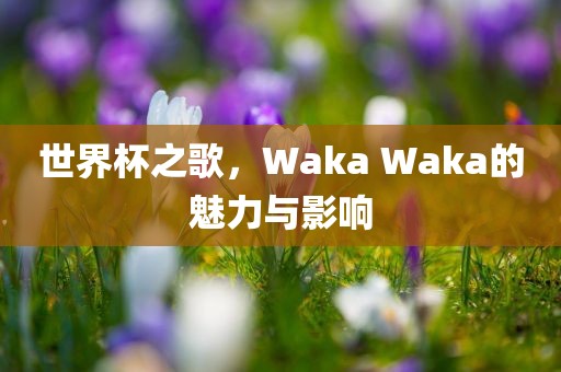 世界杯之歌，Waka Waka的魅力与影响