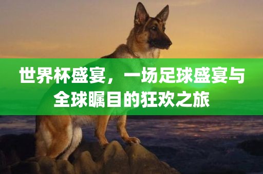 世界杯盛宴，一场足常熟市高丰毛纺织品有限公司球盛宴与全球瞩目的狂欢之旅