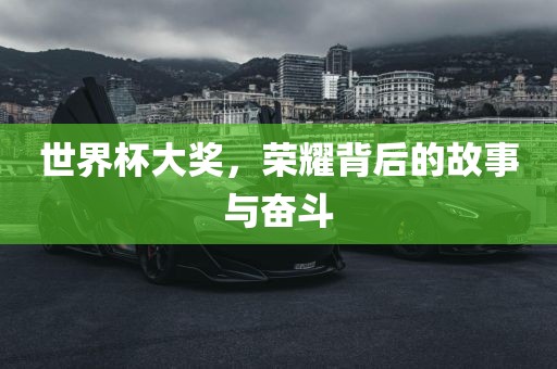 世界杯大奖，荣耀背后常熟市高丰毛纺织品有限公司的故事与奋斗