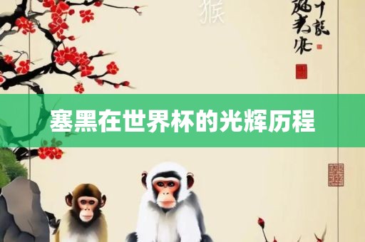 塞黑在世界杯的光辉历程常熟市高丰毛纺织品有限公司