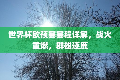 世界杯欧预赛赛程详解，战火重燃，群雄逐鹿