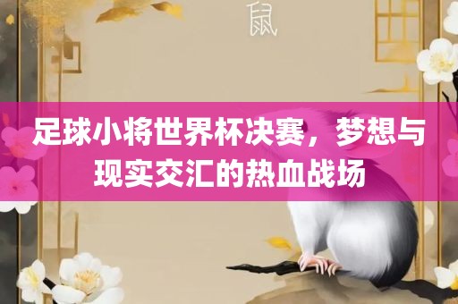 足球小将世界杯决赛，梦常熟市高丰毛纺织品有限公司想与现实交汇的热血战场