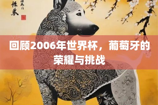 回顾2006年世界杯，葡萄牙的荣耀与挑战