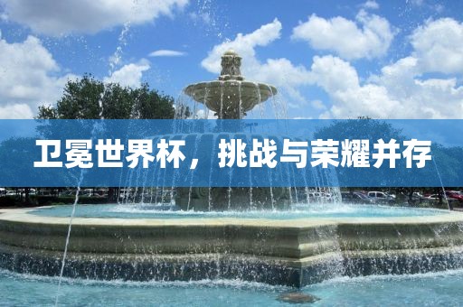 卫冕世界杯，挑战与荣耀并存常熟市高丰毛纺织品有限公司