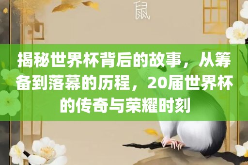 揭秘世界杯背后的故事，从筹备到落幕的历程，20届世界杯的传奇与荣耀时刻