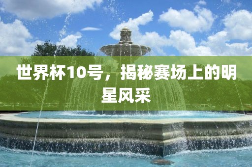 世界杯10号，揭秘赛场上的明星风采
