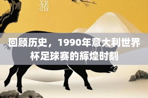 回顾历史，1990年意大利世界杯足球赛的辉煌时刻常熟市高丰毛纺织品有限公司