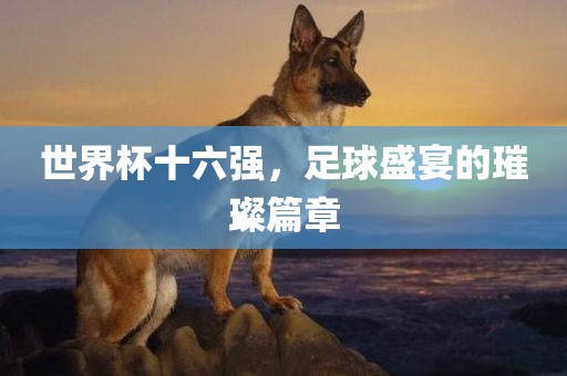世界杯十六强，足球盛宴的璀璨篇章