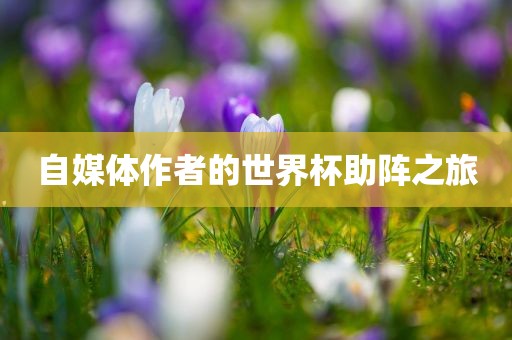 自媒体作者的世界杯助阵之旅