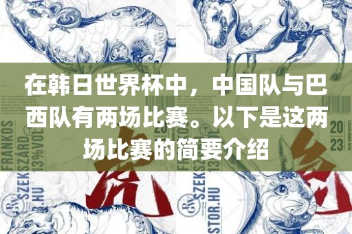在韩日世界杯中，中国队与巴西队有两场比赛。以下是这两场比赛的简要介绍