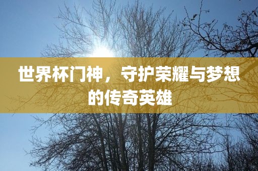 世界杯门神，守护荣耀与梦想的传奇英雄