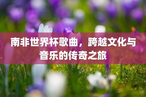 南非世界杯歌曲，跨越文化与音乐的传奇之旅常熟市高丰毛纺织品有限公司