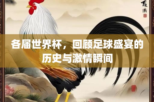 各届世界杯，回顾足球盛宴的历史与激情瞬间常熟市高丰毛纺织品有限公司
