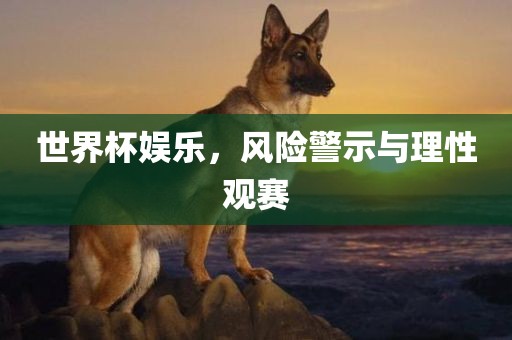世界杯常熟市高丰毛纺织品有限公司娱乐，风险警示与理性观赛