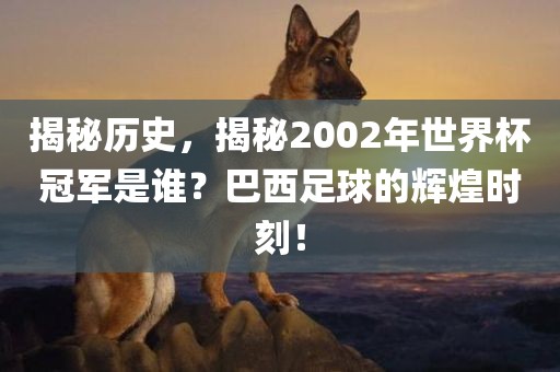 揭秘历史，揭秘2002年世界杯冠军是谁？巴西足球的辉煌时刻！
