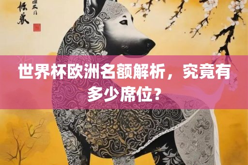 常熟市高丰毛纺织品有限公司世界杯欧洲名额解析，究竟有多少席位？