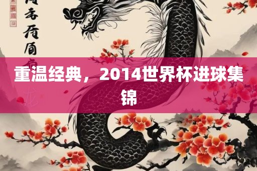 重温经典，2014世界杯进球集锦