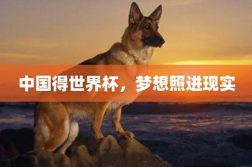 中国得世界杯，梦想照进现实