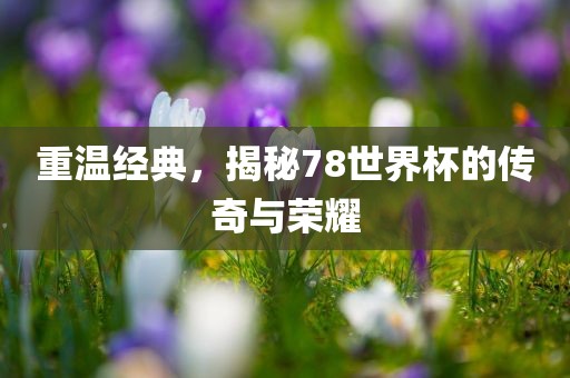 重温经典，揭秘78世界杯的传奇与荣耀
