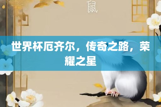 世界杯厄齐尔，传奇之路，荣耀之星