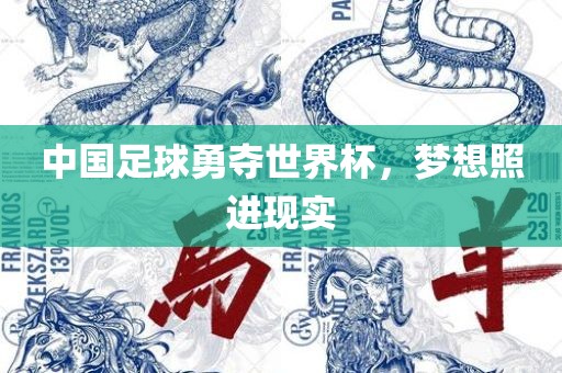 中国足球勇夺世界杯，梦想照进现实