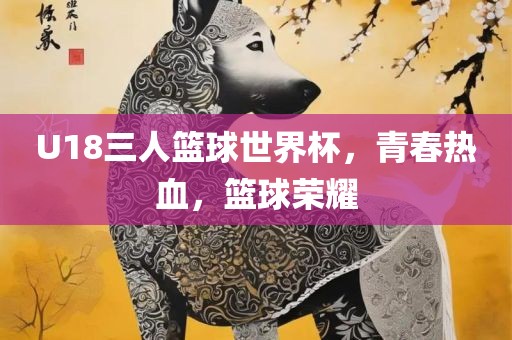 U18三人篮球世界杯，青春热血，篮球荣耀常熟市高丰毛纺织品有限公司