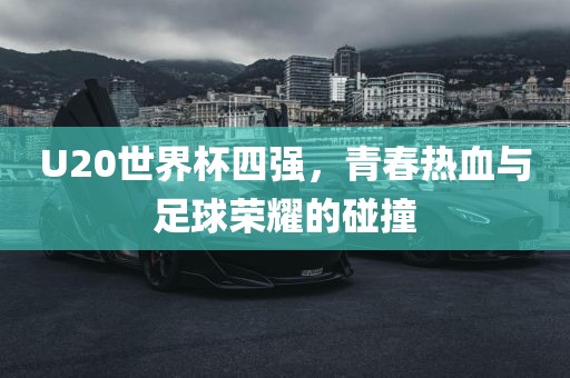 U20世界杯四强，青春热血与足球荣耀的碰撞