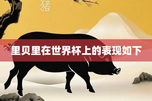 里贝里在世界杯上的表现如下
