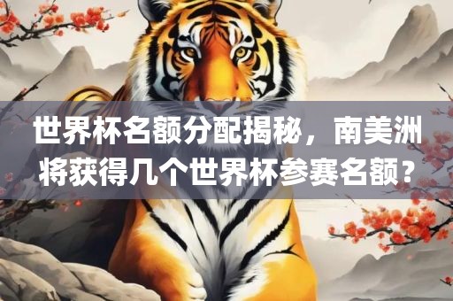 世界杯名额分配揭秘，南美洲将获得几个世界杯参赛名额？
