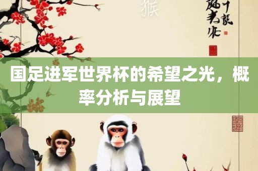 国足进军世界杯的希望之光，概率分析与展望