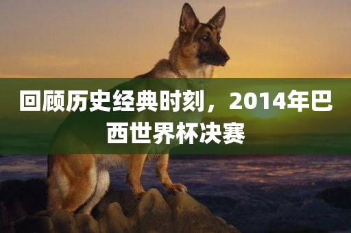 回顾历史经典时刻，2014年巴西世界杯决赛