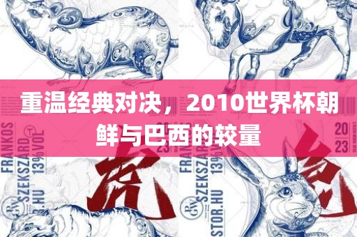 重温经典对决，2010世界杯朝鲜与巴西的较量