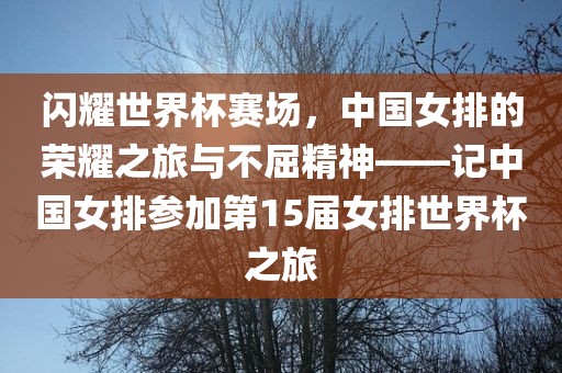 闪耀世界杯赛场，中国女排的荣耀之旅与不屈精神——记中国女排参加第15届女排世界杯之旅