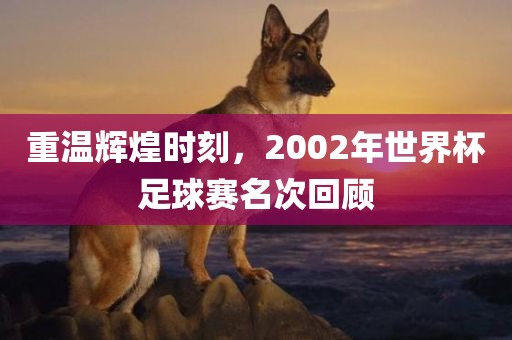 重温辉煌时刻，2002年世界杯足球赛名次回顾常熟市高丰毛纺织品有限公司