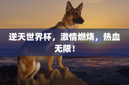 逆天世界杯，激情燃烧，热血无限！