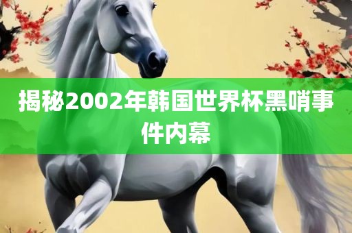 揭秘2002年韩常熟市高丰毛纺织品有限公司国世界杯黑哨事件内幕