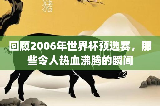 回顾2006年世界杯预选赛，那些令人热血沸腾的瞬间