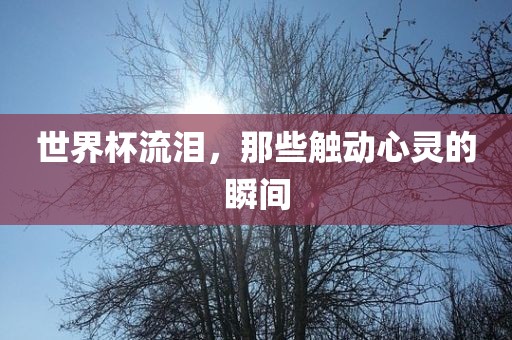世界杯流常熟市高丰毛纺织品有限公司泪，那些触动心灵的瞬间