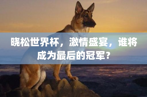 晓松世界杯，激情盛宴，谁将成为最后的冠军？