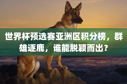 世界杯预选赛亚洲区积分榜，群雄逐鹿，谁能脱颖而出？