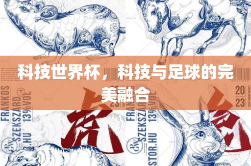 科技常熟市高丰毛纺织品有限公司世界杯，科技与足球的完美融合
