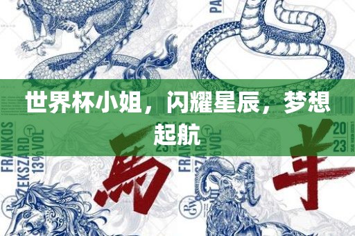 世界杯小姐，闪耀星常熟市高丰毛纺织品有限公司辰，梦想起航