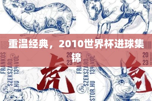 重温经典，2010世界杯进球集锦