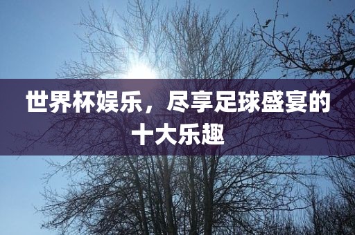 世界杯娱乐，尽享足球盛宴的十大乐趣常熟市高丰毛纺织品有限公司