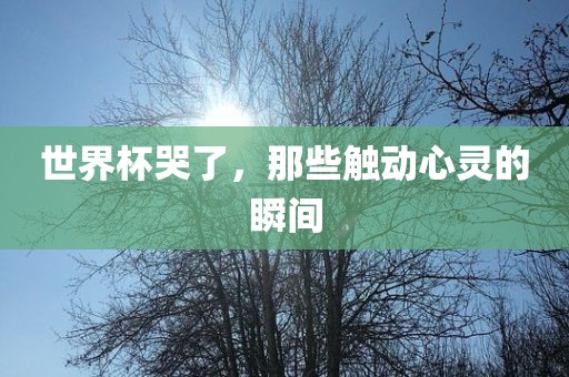 世界杯哭了，那些触动心灵的瞬间