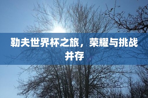 勒夫世界杯之旅，荣耀与挑战并存