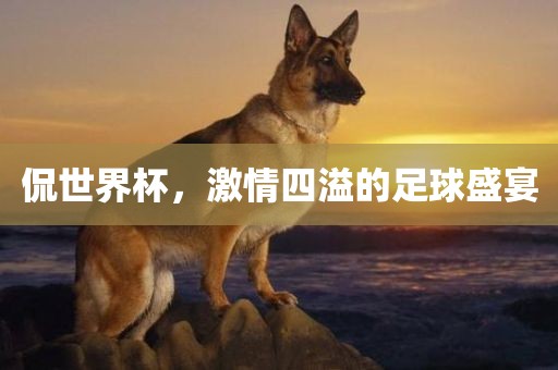 侃世界杯，激情四溢的足球常熟市高丰毛纺织品有限公司盛宴