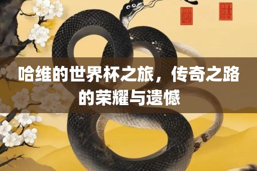 哈维的世界杯之旅，传奇之路的荣耀与遗憾常熟市高丰毛纺织品有限公司