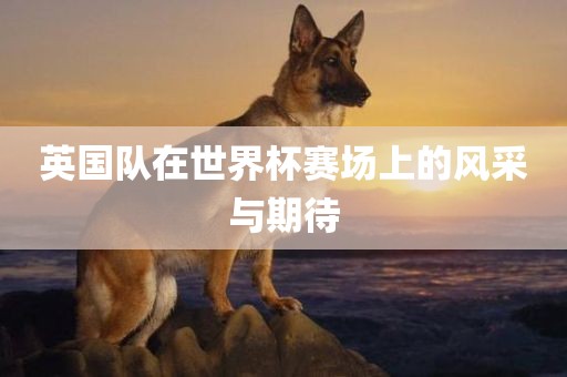 英国队在世界杯赛场上的风采与期待常熟市高丰毛纺织品有限公司