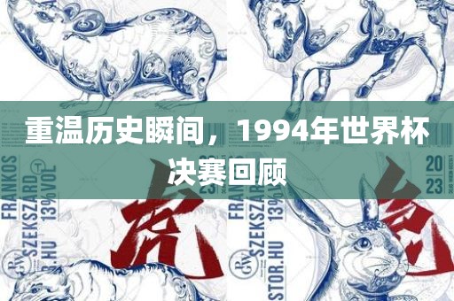 重温历史瞬间，1994年世界杯决赛回顾常熟市高丰毛纺织品有限公司